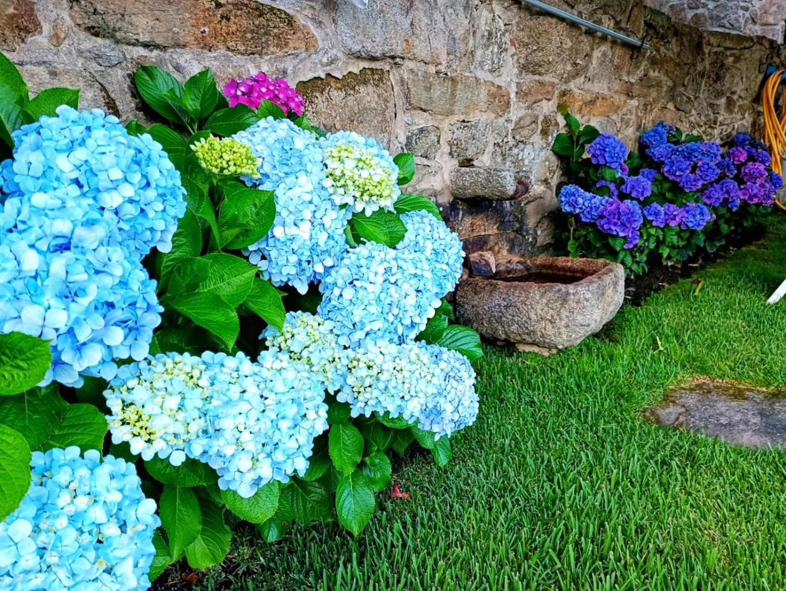 Remanso Azul Villa Moaña Exteriör bild